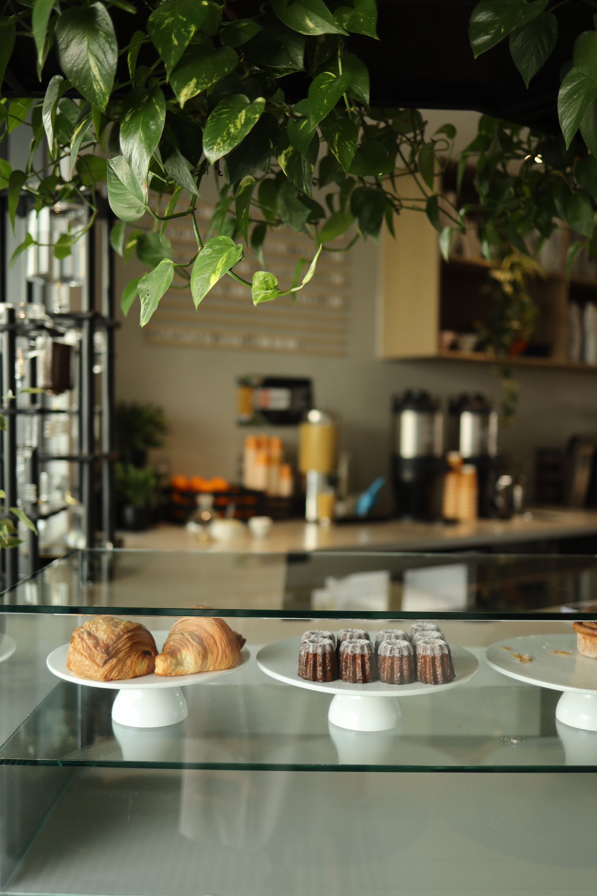 Croissants and small cakes arranged in a café pastry display with hanging greenery