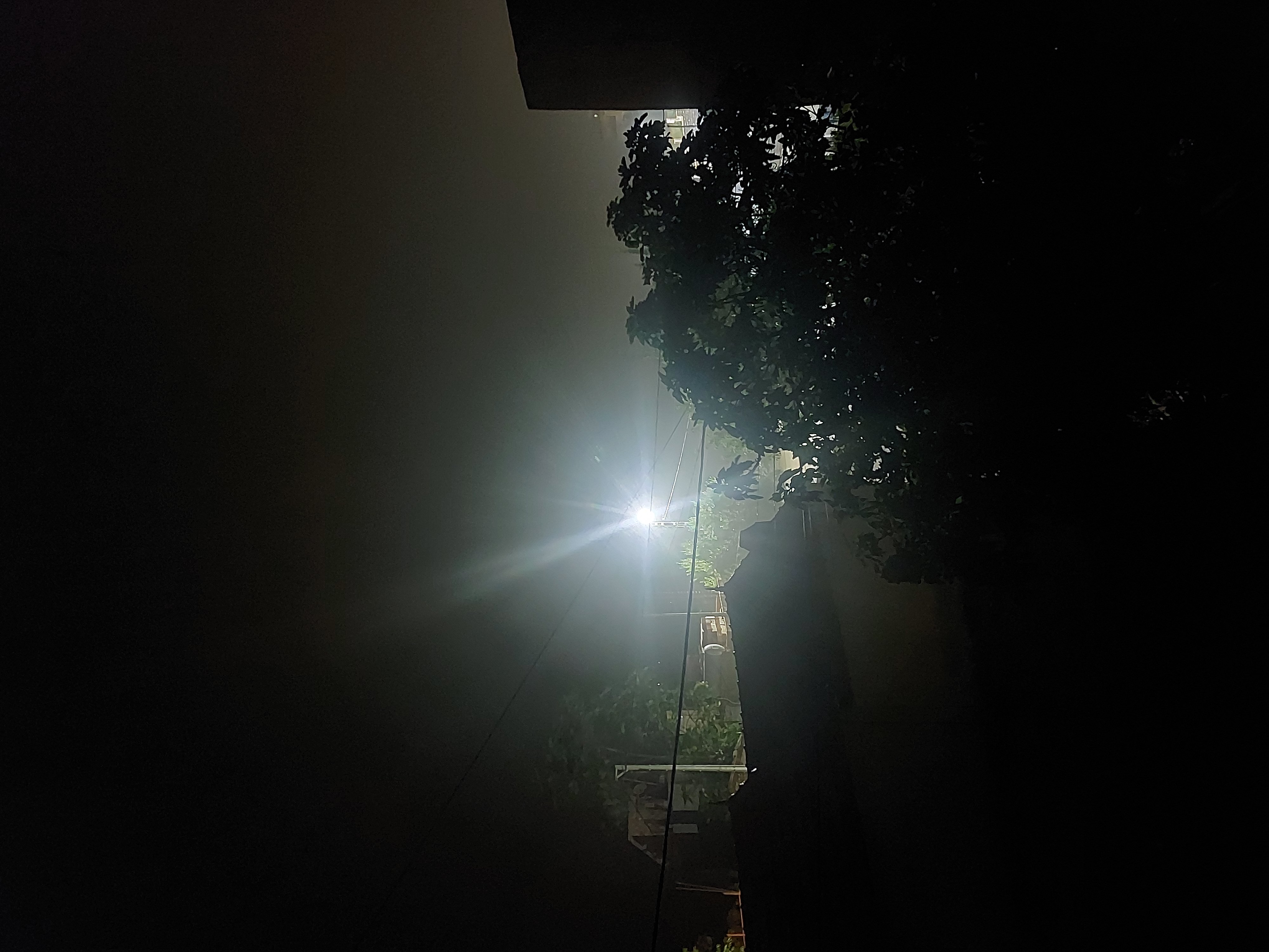 Un lampadaire éclaire des arbres et des toits dans la nuit.