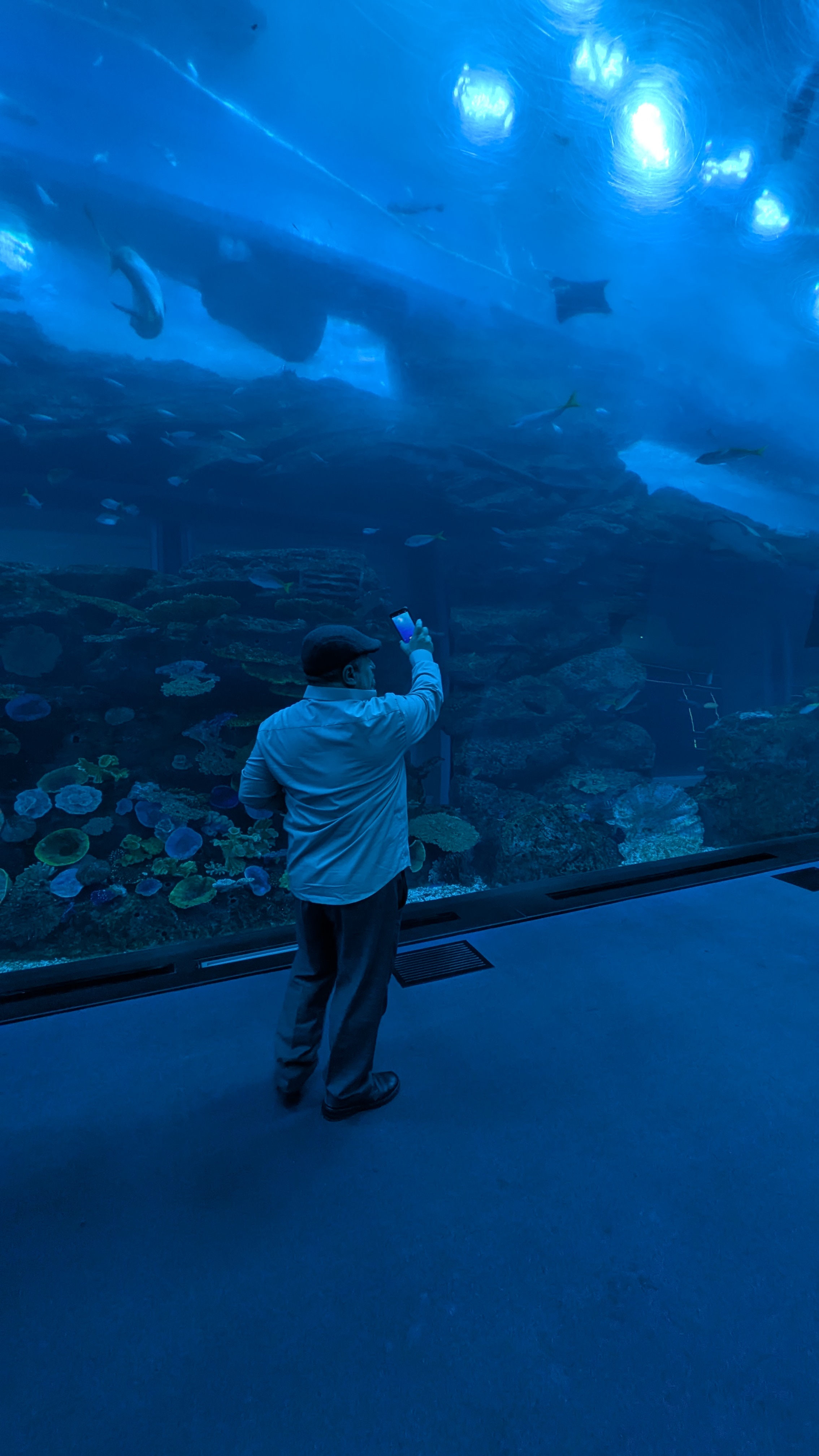 Un visiteur photographie les poissons d’un grand aquarium éclairé de bleu.