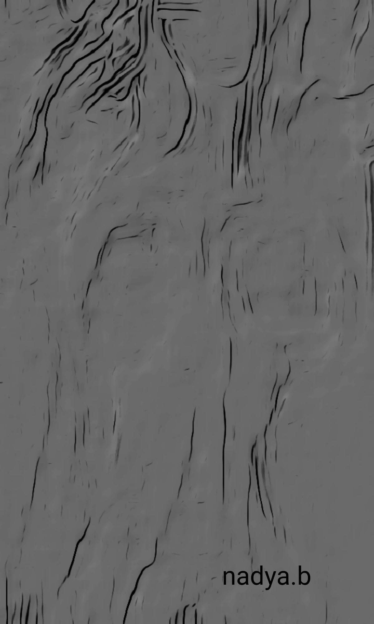 Illustration accompagnant « ''La bergère de la vallée '' » dans sa publication Facebook.